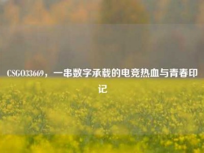 CSGO33669，一串数字承载的电竞热血与青春印记