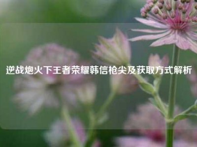 逆战炮火下王者荣耀韩信枪尖及获取方式解析