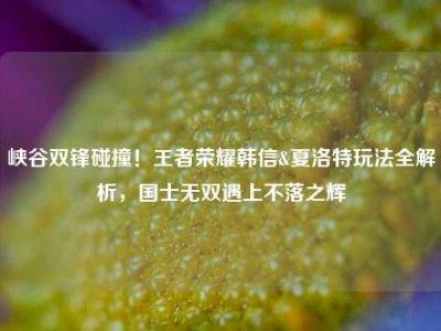 峡谷双锋碰撞！王者荣耀韩信&夏洛特玩法全解析，国士无双遇上不落之辉
