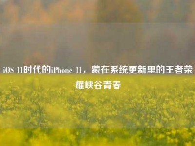 iOS 11时代的iPhone 11，藏在系统更新里的王者荣耀峡谷青春