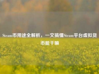 Steam币用途全解析，一文搞懂Steam平台虚拟货币能干嘛