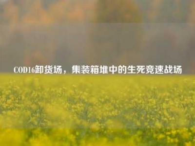 COD16卸货场，集装箱堆中的生死竞速战场