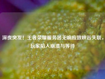 深夜突发！王者荣耀服务器无响应致峡谷失联，玩家陷入崩溃与等待