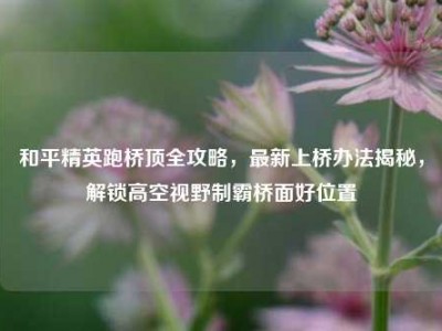和平精英跑桥顶全攻略，最新上桥办法揭秘，解锁高空视野制霸桥面好位置