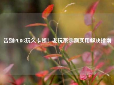 告别PUBG玩久卡顿！老玩家亲测实用解决指南