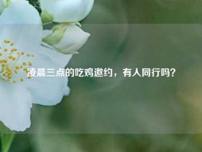 凌晨三点的吃鸡邀约，有人同行吗？