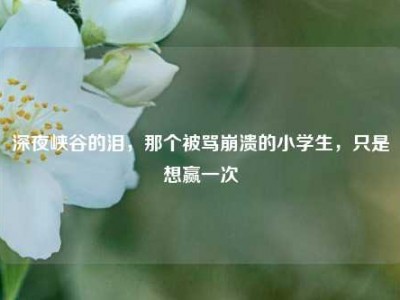深夜峡谷的泪，那个被骂崩溃的小学生，只是想赢一次