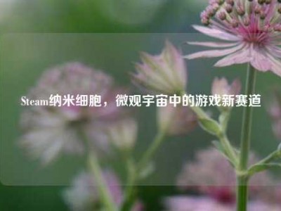 Steam纳米细胞，微观宇宙中的游戏新赛道