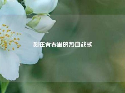 刻在青春里的热血战歌