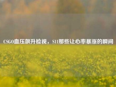 CSGO血压飙升检视，S11那些让心率暴涨的瞬间