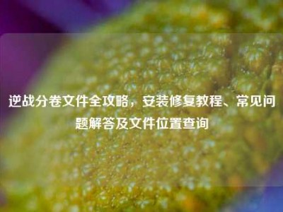 逆战分卷文件全攻略，安装修复教程、常见问题解答及文件位置查询