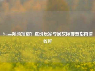 Steam频频报错？这份玩家专属故障排查指南请收好