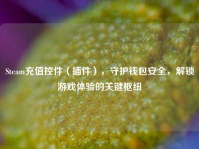 Steam充值控件（插件），守护钱包安全，解锁游戏体验的关键枢纽
