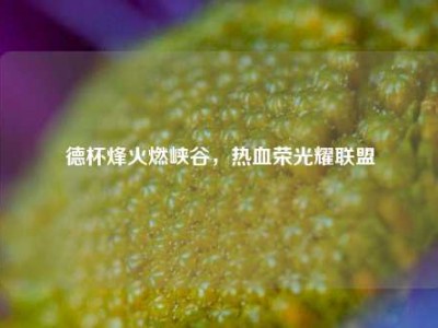 德杯烽火燃峡谷，热血荣光耀联盟