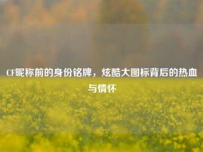 CF昵称前的身份铭牌，炫酷大图标背后的热血与情怀