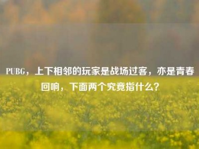 PUBG，上下相邻的玩家是战场过客，亦是青春回响，下面两个究竟指什么？