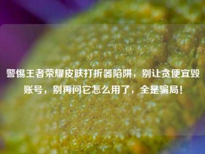 警惕王者荣耀皮肤打折器陷阱，别让贪便宜毁账号，别再问它怎么用了，全是骗局！
