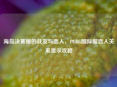 海岛决赛圈的战友与恋人，PUBG国际服恋人关系显示攻略