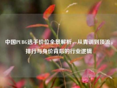 中国PUBG选手价位全景解析，从青训到顶流，排行与身价背后的行业逻辑