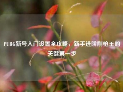 PUBG新号入门设置全攻略，新手进阶刚枪王的关键第一步