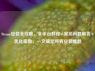 Steam安装全攻略，全平台教程+常见问题解答+优化指南，一文搞定所有安装难题