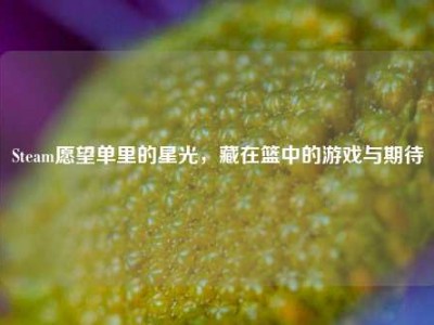 Steam愿望单里的星光，藏在篮中的游戏与期待