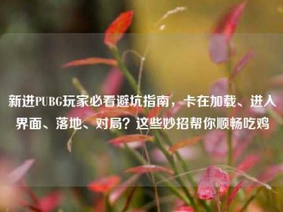 新进PUBG玩家必看避坑指南，卡在加载、进入界面、落地、对局？这些妙招帮你顺畅吃鸡