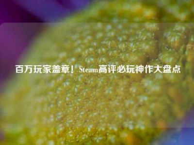 百万玩家盖章！Steam高评必玩神作大盘点