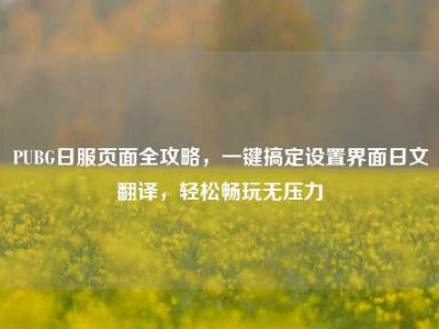 PUBG日服页面全攻略，一键搞定设置界面日文翻译，轻松畅玩无压力