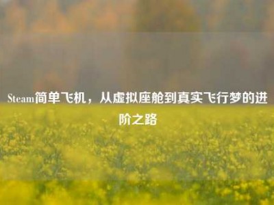 Steam简单飞机，从虚拟座舱到真实飞行梦的进阶之路
