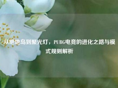 从绝地岛到聚光灯，PUBG电竞的进化之路与模式规则解析