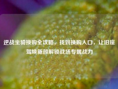 逆战坐骑换购全攻略，找到换购入口，让旧座驾焕新颜解锁战场专属战力