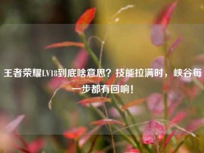 王者荣耀LV18到底啥意思？技能拉满时，峡谷每一步都有回响！