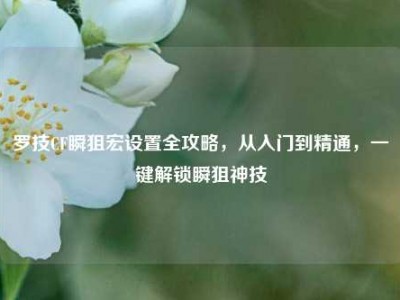 罗技CF瞬狙宏设置全攻略，从入门到精通，一键解锁瞬狙神技
