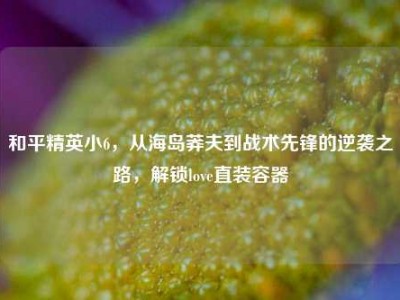 和平精英小6，从海岛莽夫到战术先锋的逆袭之路，解锁love直装容器