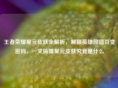 王者荣耀星元皮肤全解析，解锁英雄颜值百变密码，一文搞懂星元皮肤究竟是什么