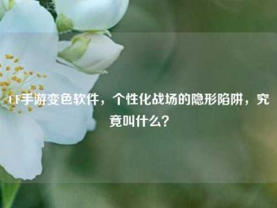 CF手游变色软件，个性化战场的隐形陷阱，究竟叫什么？