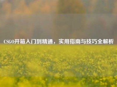 CSGO开箱入门到精通，实用指南与技巧全解析