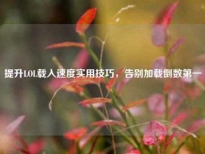 提升LOL载入速度实用技巧，告别加载倒数第一