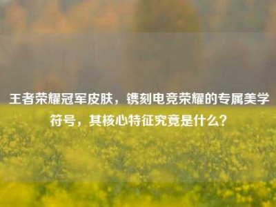 王者荣耀冠军皮肤，镌刻电竞荣耀的专属美学符号，其核心特征究竟是什么？
