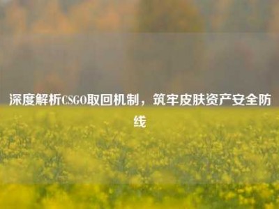 深度解析CSGO取回机制，筑牢皮肤资产安全防线