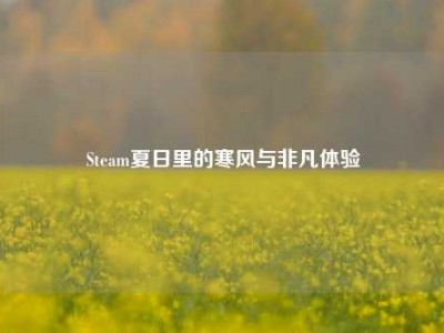 Steam夏日里的寒风与非凡体验