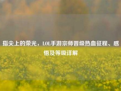 指尖上的荣光，LOL手游宗师晋级热血征程、感悟及等级详解