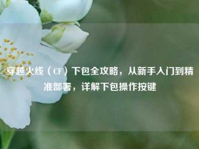 穿越火线（CF）下包全攻略，从新手入门到精准部署，详解下包操作按键