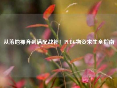 从落地裸奔到满配战神！PUBG物资求生全指南