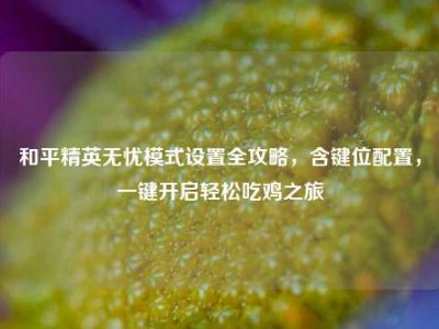 和平精英无忧模式设置全攻略，含键位配置，一键开启轻松吃鸡之旅