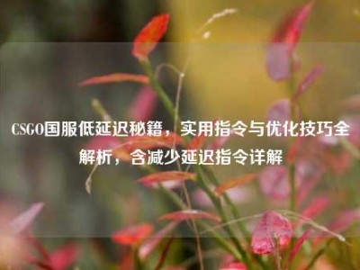 CSGO国服低延迟秘籍，实用指令与优化技巧全解析，含减少延迟指令详解