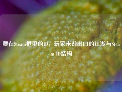 藏在Steam框里的ID，玩家未说出口的江湖与Steam ID结构