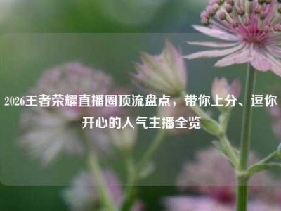 2026王者荣耀直播圈顶流盘点，带你上分、逗你开心的人气主播全览