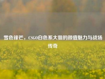 雪色锋芒，CSGO白色系大狙的颜值魅力与战场传奇
